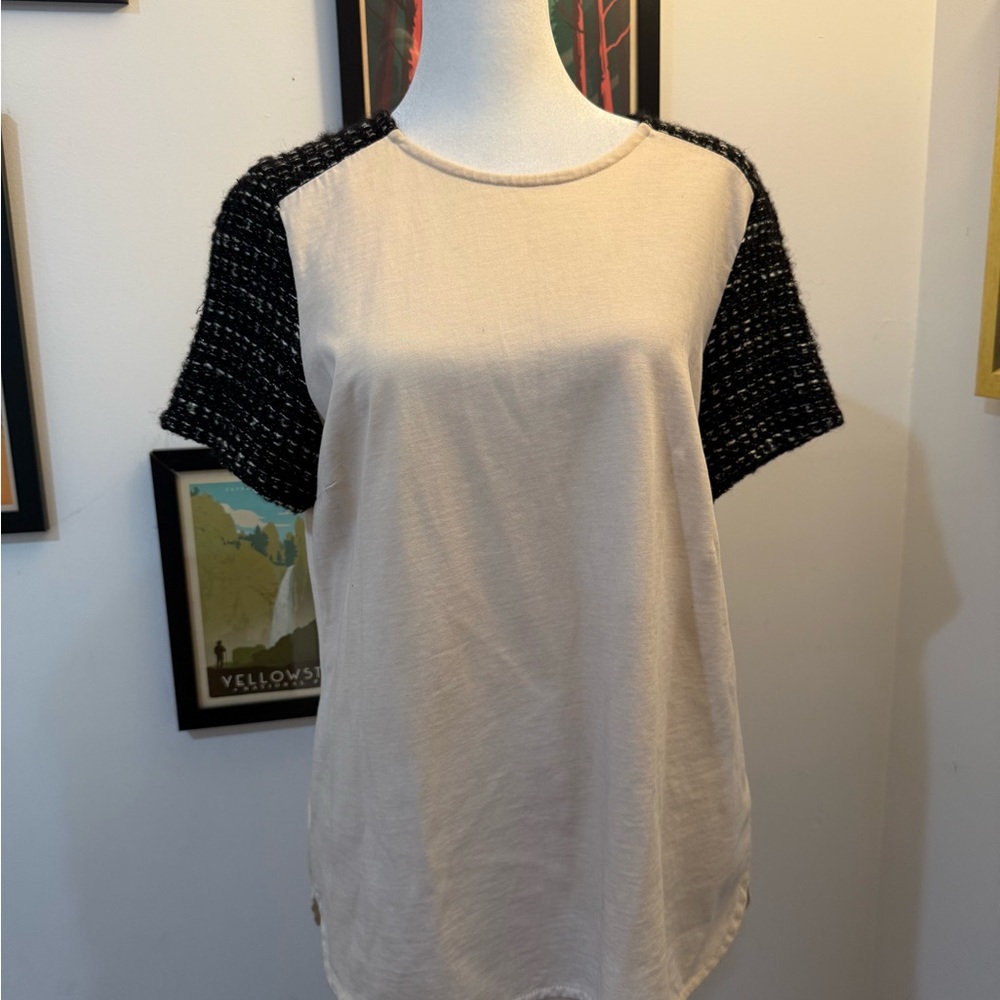 Stylish Women's Cream and Black Top